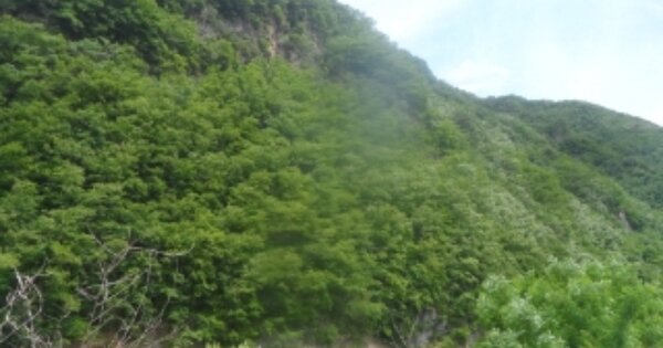 강원특별자치도 정선군 남면 광덕리 OOO 임야 경매 물건 이미지