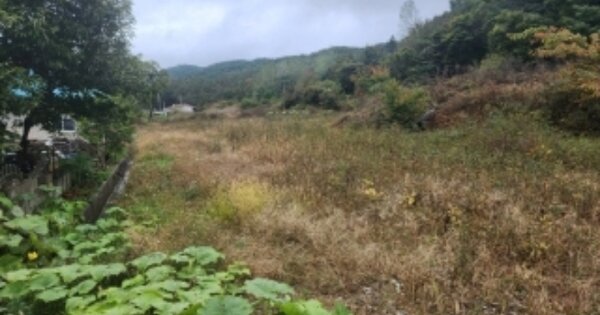 충청북도 보은군 산외면 장갑리 OO 전 경매 물건 이미지