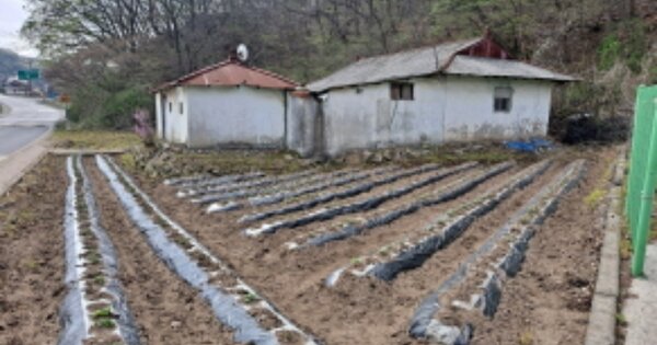 충청남도 서산시 운산면 원평리 OOOOO O OOO 대지 경매 물건 이미지