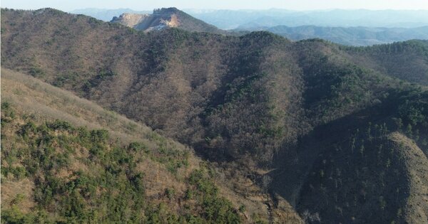 충청남도 예산군 예산읍 향천리 OOO 임야 경매 물건 이미지