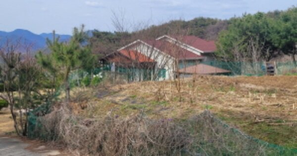 경상북도 청도군 매전면 남양리 OOOOO O OOO 임야 경매 물건 이미지