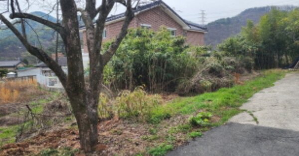 울산광역시 울주군 웅촌면 석천리 OOO 전 경매 물건 이미지