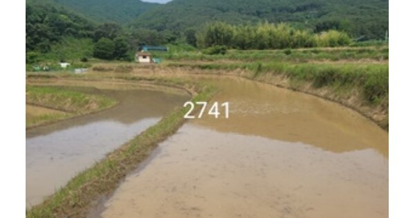부산광역시 기장군 철마면 웅천리 OOO 답 경매 물건 이미지