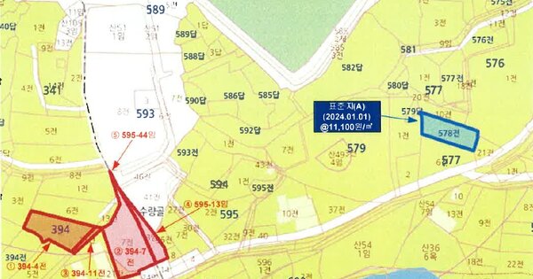 전라남도 무안군 현경면 용정리 OOOOO O OOO 전 경매 물건 이미지