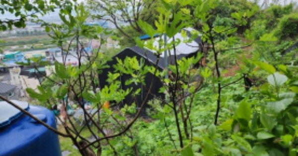 울산광역시 중구 동동 OOO 전 경매 물건 이미지
