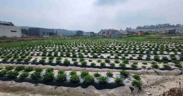 경기도 여주시 세종대왕면 광대리 OO 전 경매 물건 이미지