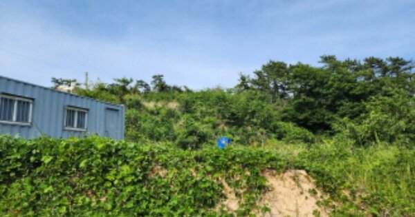 울산광역시 울주군 서생면 나사리 OOOOOO 과수원 경매 물건 이미지