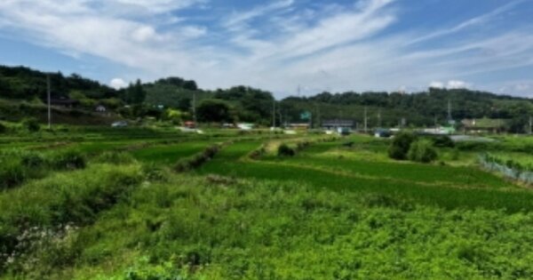 경상남도 진주시 금산면 용아리 OOO 답 경매 물건 이미지