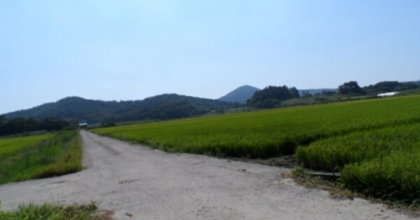 전라남도 무안군 일로읍 죽산리 OOOO 답 경매 물건 이미지