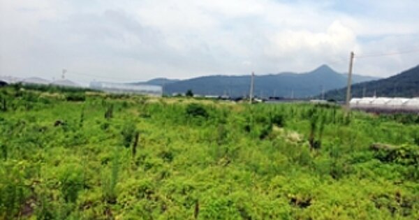 경상남도 김해시 대동면 주동리 OOOOO 답 경매 물건 이미지