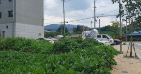 경기도 가평군 설악면 신천리 OOOOO 전 경매 물건 이미지