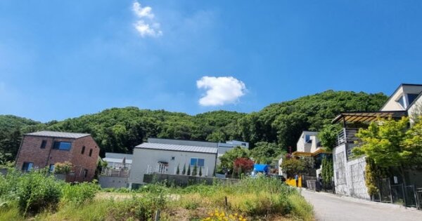 경기도 용인시 수지구 고기동 OOOOO 임야 경매 물건 이미지