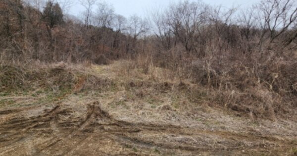 충청북도 제천시 수산면 수산리 OOOOO 전 경매 물건 이미지