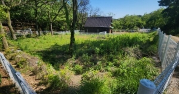 인천광역시 중구 운북동 OOOOO 임야 경매 물건 이미지