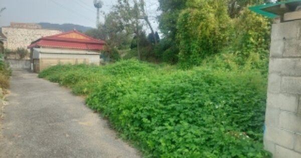 충청남도 아산시 영인면 아산리 OOOOO 대지 경매 물건 이미지