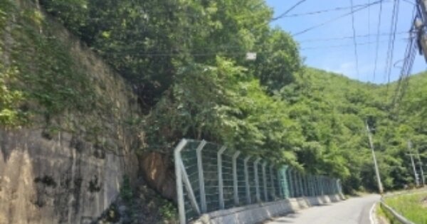 충청북도 단양군 단양읍 심곡리 OOOOO 임야 경매 물건 이미지