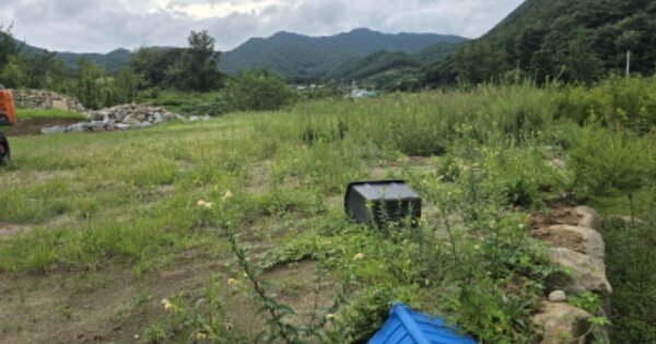 경상북도 칠곡군 가산면 가산리 OOOO O OOO 전 경매 물건 이미지