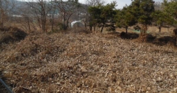 전북특별자치도 전주시 완산구 효자동3가 OOOOOOO O OOO 전 경매 물건 이미지