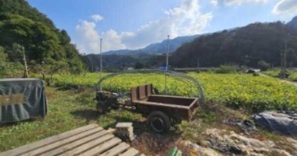 충청북도 단양군 적성면 상원곡리 OOOO O OOO 답 경매 물건 이미지