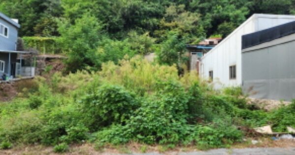 대구광역시 북구 침산동 OOOOO 대지 경매 물건 이미지