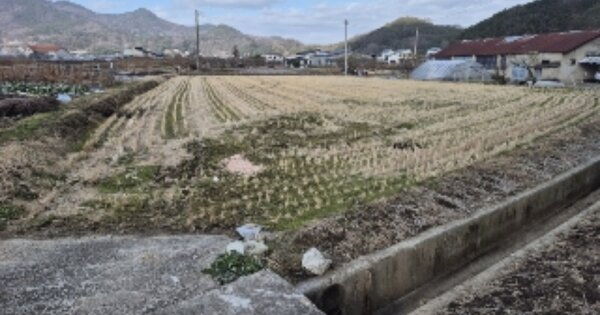 전라남도 담양군 수북면 주평리 OOOOO 전 경매 물건 이미지