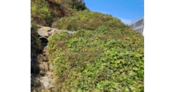 경상남도 양산시 교동 OOO O OOO 임야 경매 물건 이미지