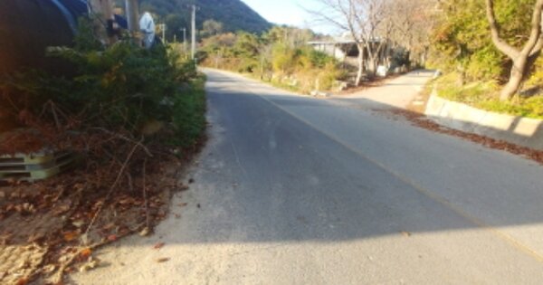 충청남도 금산군 추부면 장대리 OOOOO 답 경매 물건 이미지