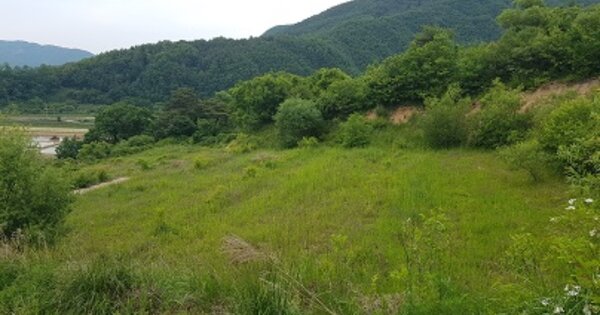 경상북도 청송군 부남면 홍원리 OOO 전 경매 물건 이미지