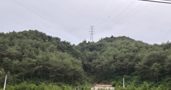 경북 울진군 기성면 정명리 OOOOOO O OOO 단독주택 경매 물건 이미지