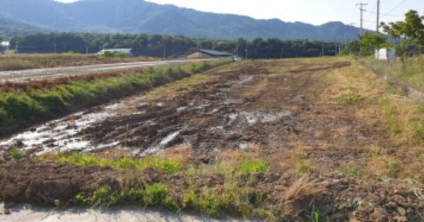 경상남도 합천군 초계면 상대리 OOO 답 경매 물건 이미지