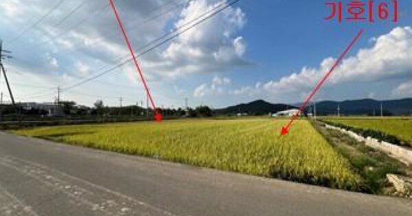 경상남도 창녕군 창녕읍 하리 OOO O OOO 답 경매 물건 이미지