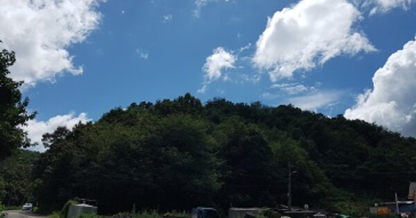 대구광역시 군위군 군위읍 용대리 OOO 임야 경매 물건 이미지
