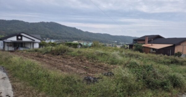 경상북도 경주시 강동면 인동리 OOOOO 전 경매 물건 이미지