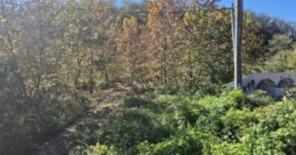 경상북도 경주시 서면 아화리 OOO O OOO 답 경매 물건 이미지