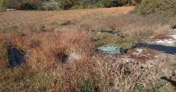 충청남도 논산시 연산면 신암리 OOOOOO 임야 경매 물건 이미지