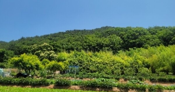 경상남도 통영시 도산면 법송리 OOOOO 전 경매 물건 이미지