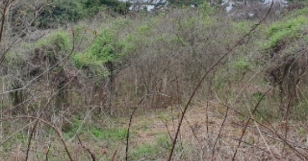 제주특별자치도 서귀포시 성산읍 신풍리 OOO 전 경매 물건 이미지