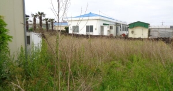제주특별자치도 제주시 한경면 용수리 OOOOOO 창고시설 경매 물건 이미지
