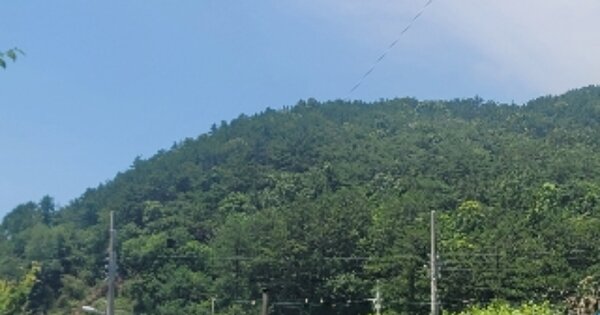 경상남도 통영시 한산면 하소리 OOO 임야 경매 물건 이미지