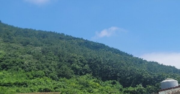 경상남도 통영시 한산면 하소리 OOO 임야 경매 물건 이미지