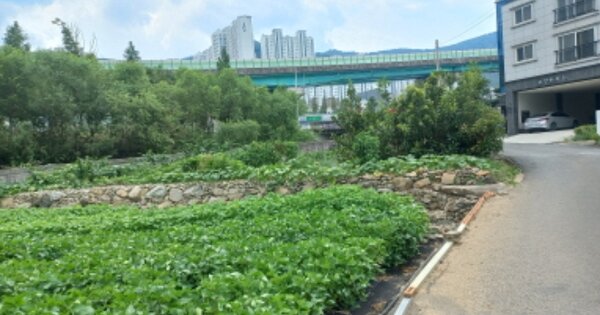 경상남도 거제시 상동동 OOOOO 답 경매 물건 이미지