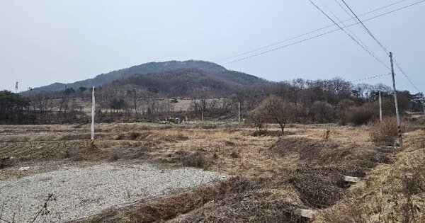 경기도 이천시 율면 월포리 767 답 경매 물건 이미지