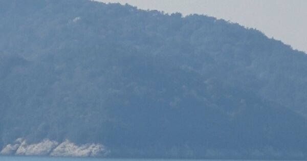 경상남도 통영시 사량면 돈지리 OOOO 임야 경매 물건 이미지