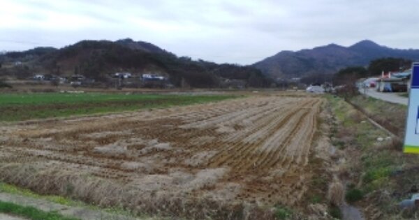 강원특별자치도 영월군 주천면 용석리 OOOO O OOO 답 경매 물건 이미지