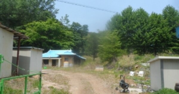 강원특별자치도 영월군 남면 창원리 OOOOOO 근린시설 경매 물건 이미지