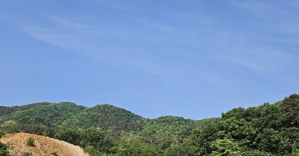 경기도 이천시 마장면 덕평리 OOOOO 임야 경매 물건 이미지