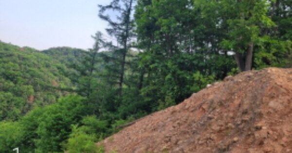 경기도 양평군 서종면 문호리 OOOOO 임야 경매 물건 이미지