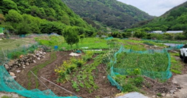 대구광역시 달성군 가창면 정대리 OOOOO 답 경매 물건 이미지