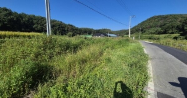 경상북도 포항시 남구 호미곶면 강사리 OOO 답 경매 물건 이미지
