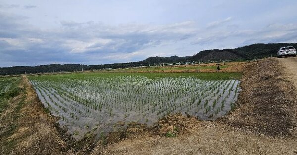 경기도 여주시 점동면 현수리 OOOOO 답 경매 물건 이미지